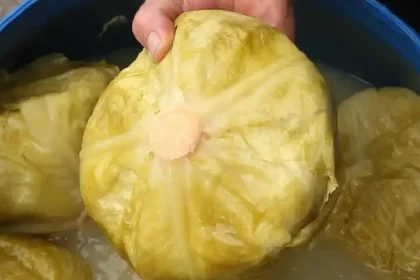 Varza – sursa de vitamina C din murături în sezonul rece: motive să o consumi tot anul