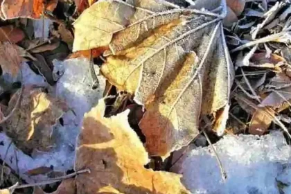 Vremea până în 9 noiembrie 2026: temperaturi sub normal, prognoză pe 4 săptămâni