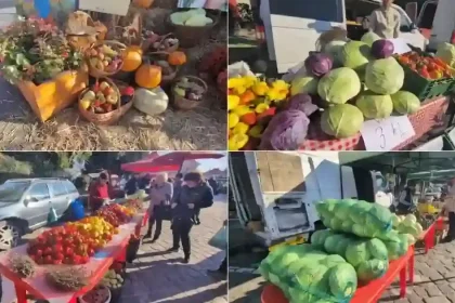 Ziua Recoltei și Festivalul „Vin și Trandafiri” 2026, la Aiud